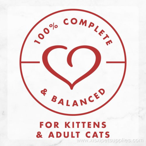Fancy Feast Gravy Wet Cat Food in Roasted